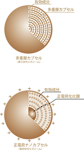多重層　正電荷　ナノカプセル